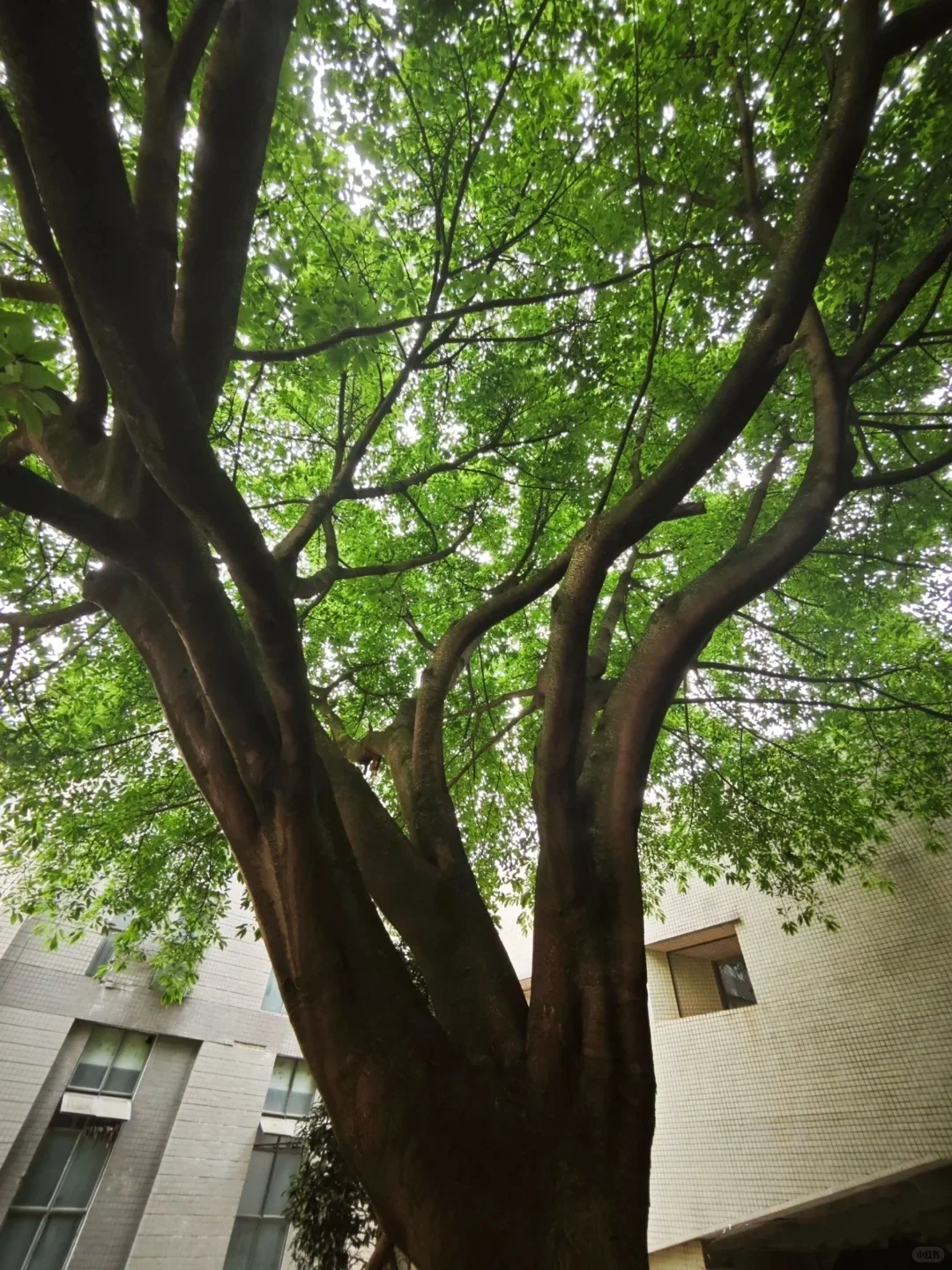 录取的集合啦！！