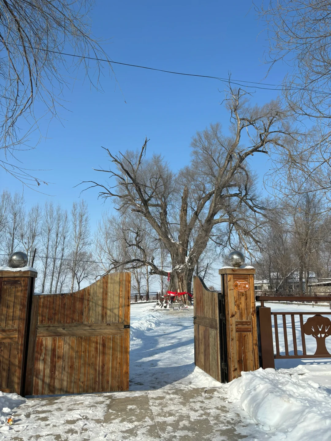 长春市朝阳区区聘教师工资