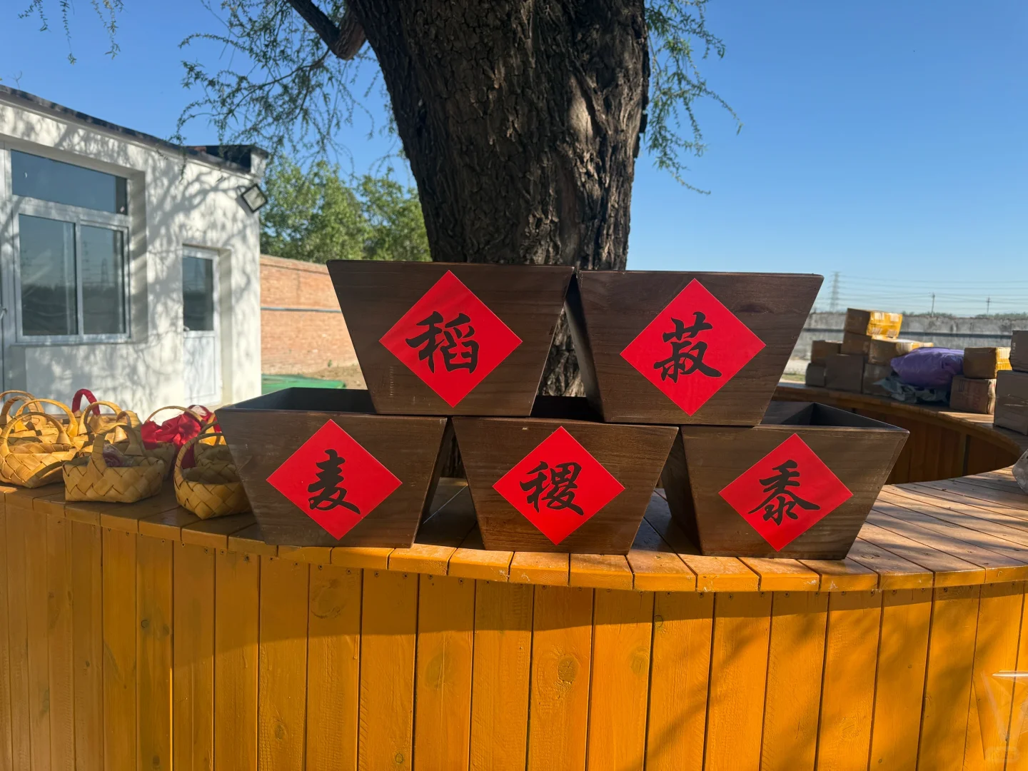 招聘 活动执行、策划、导演