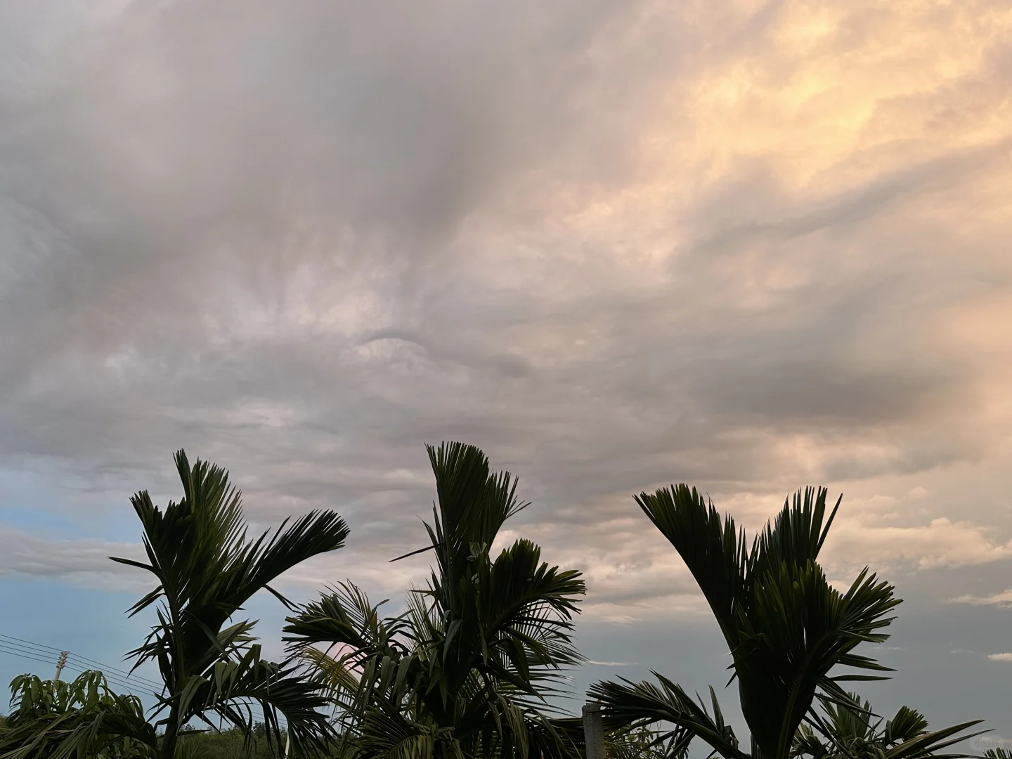 海南儋州农场招聘农场管工 工资5000