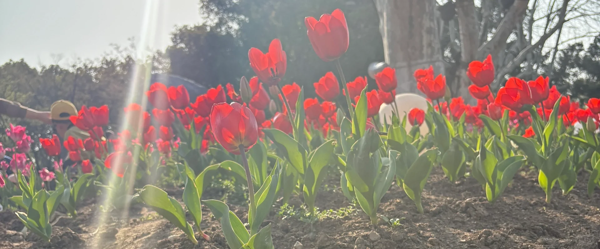 我觉得单位挺搞笑的