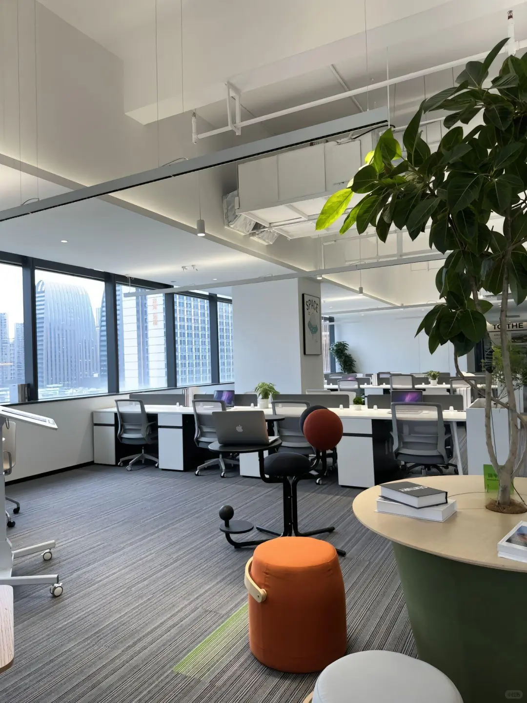 新公司已落地🎉公司缺人