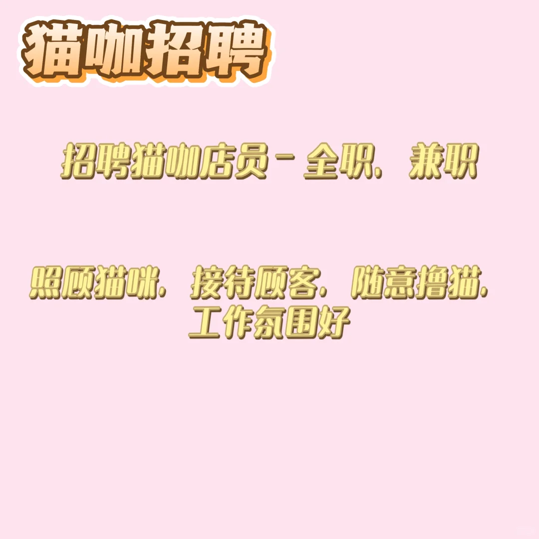 红旗街猫咖招工作人员