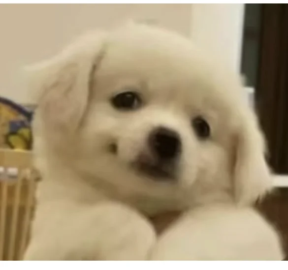 南溪职业技术学校