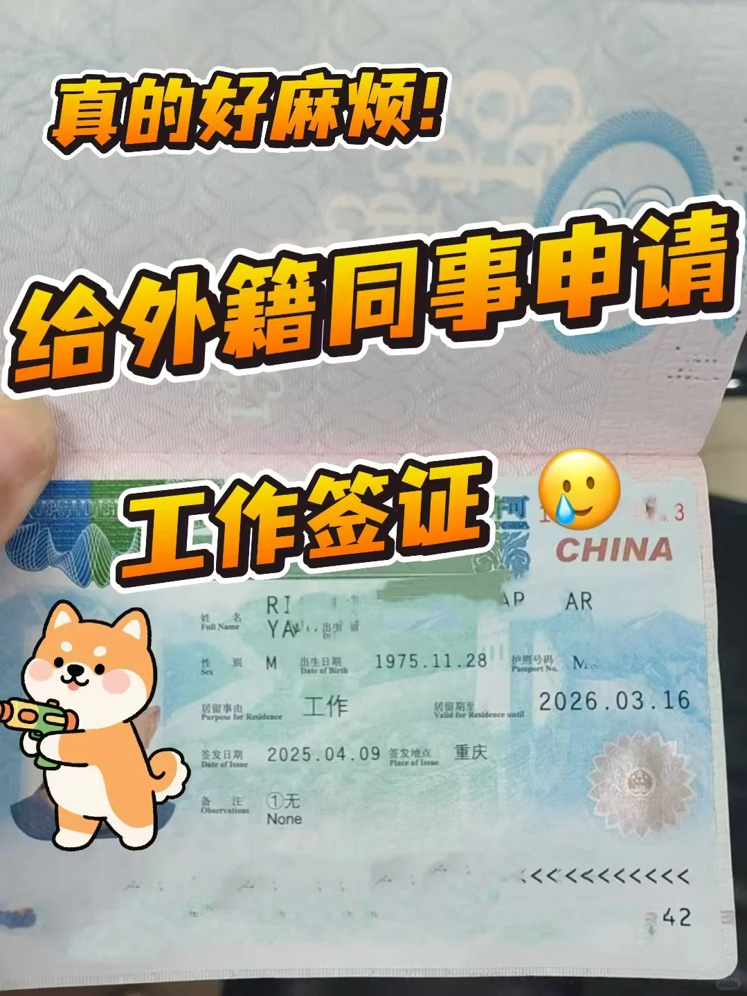 一开始也没说，中国工作签证这么难啊😫
