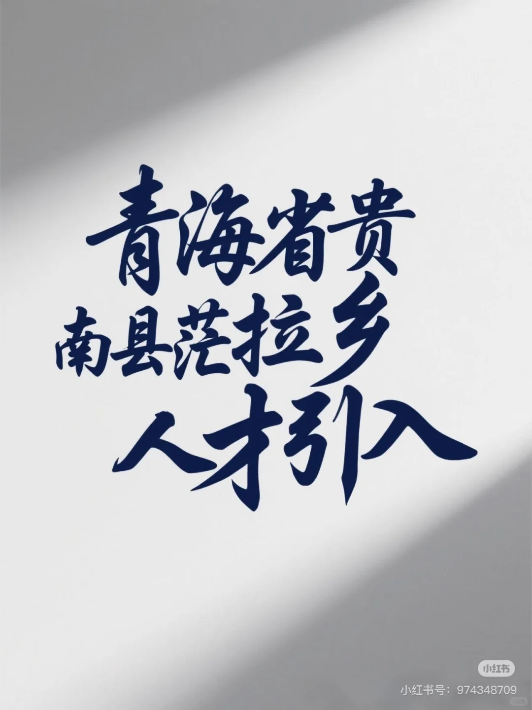 【青海省】贵南县茫拉乡人才引入