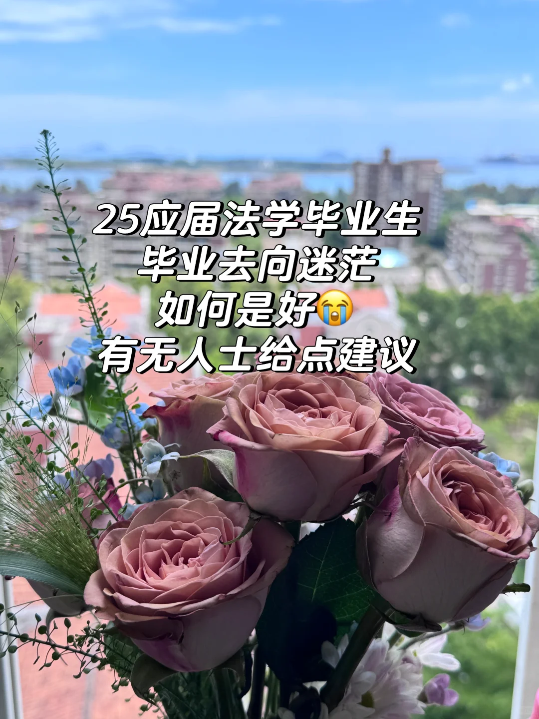 二本应届法学毕业生该何去何从啊