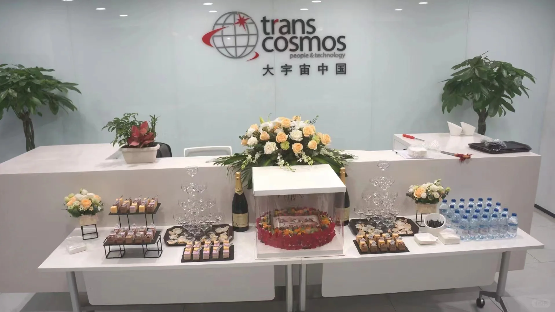 月休8天+五险一金+上市外企纯文职不加班