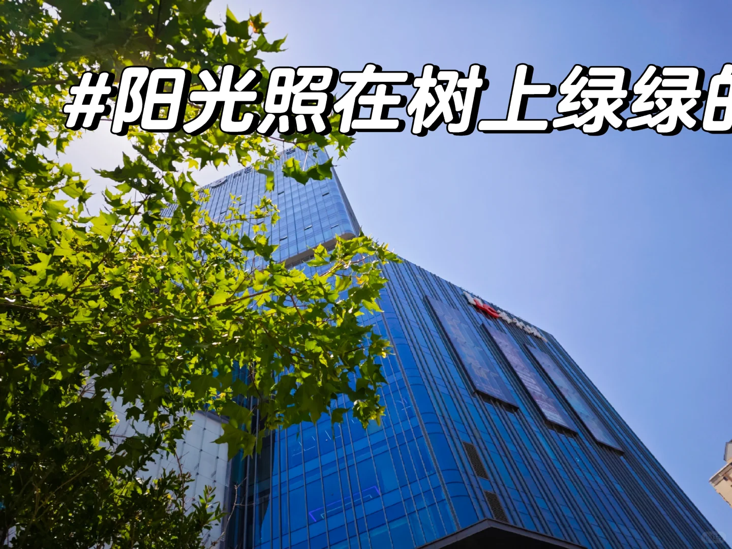 初创公司寻找第一批员工！