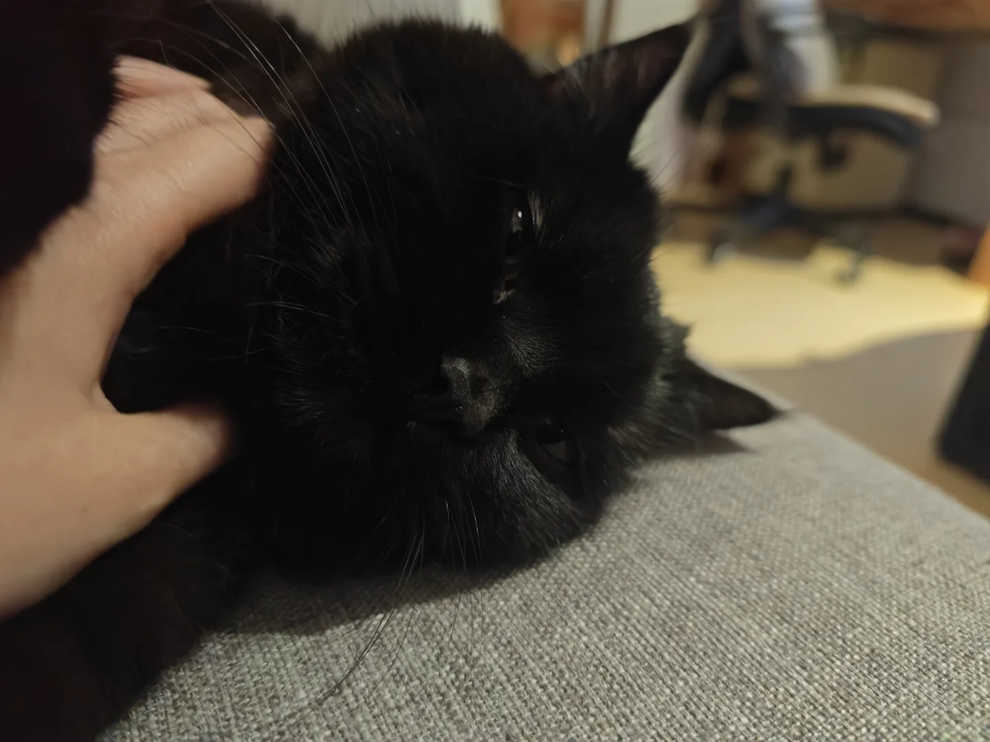 设计助理招聘，小姐姐来来来