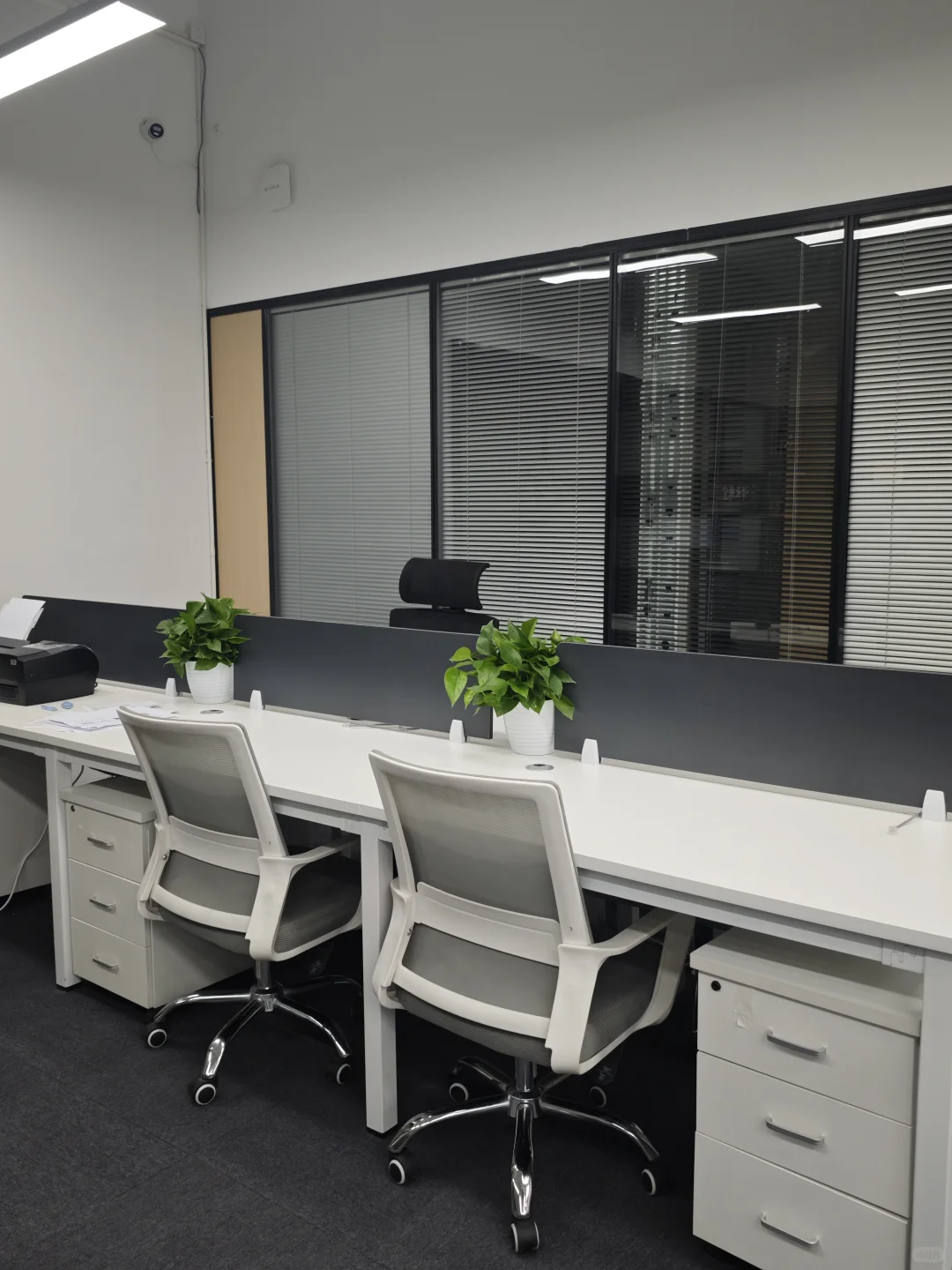 杭州新公司招人!