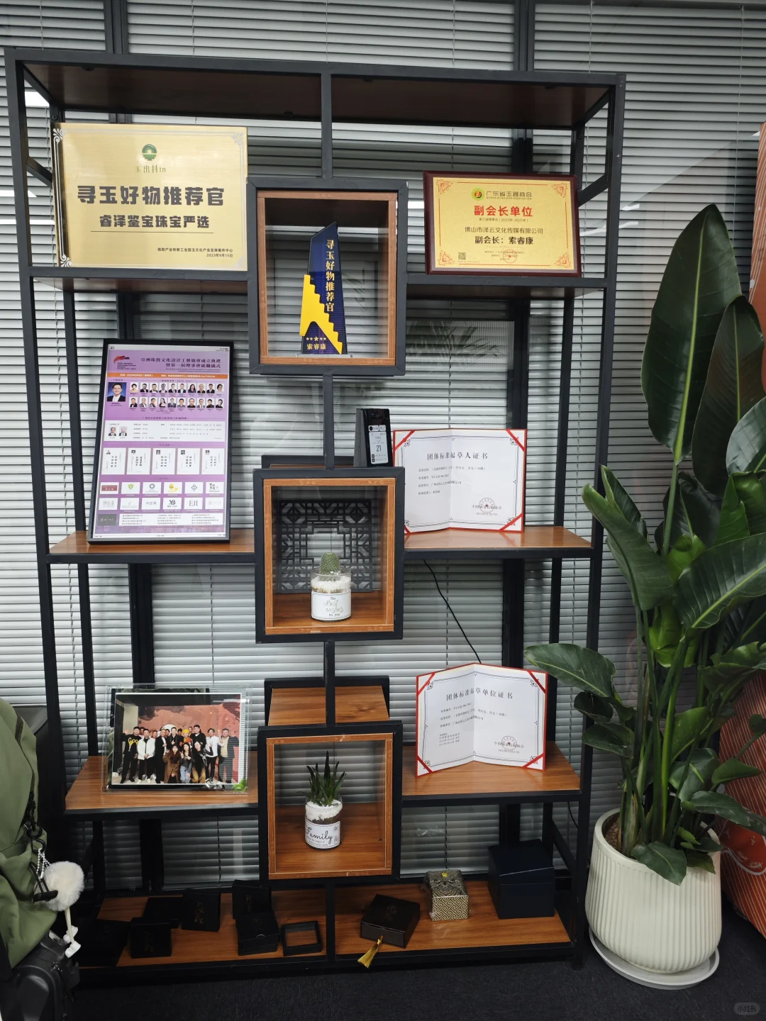 杭州新公司招人!