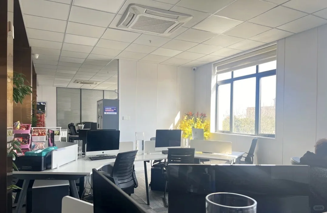 00后勇闯初创传媒公司！