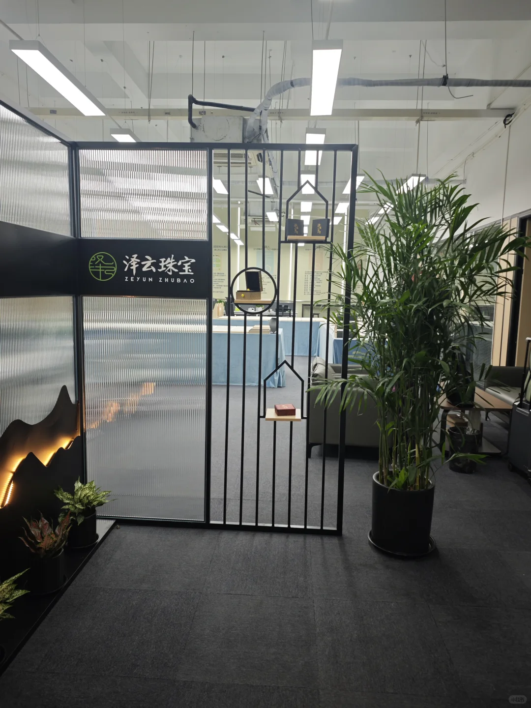 杭州新公司招人!