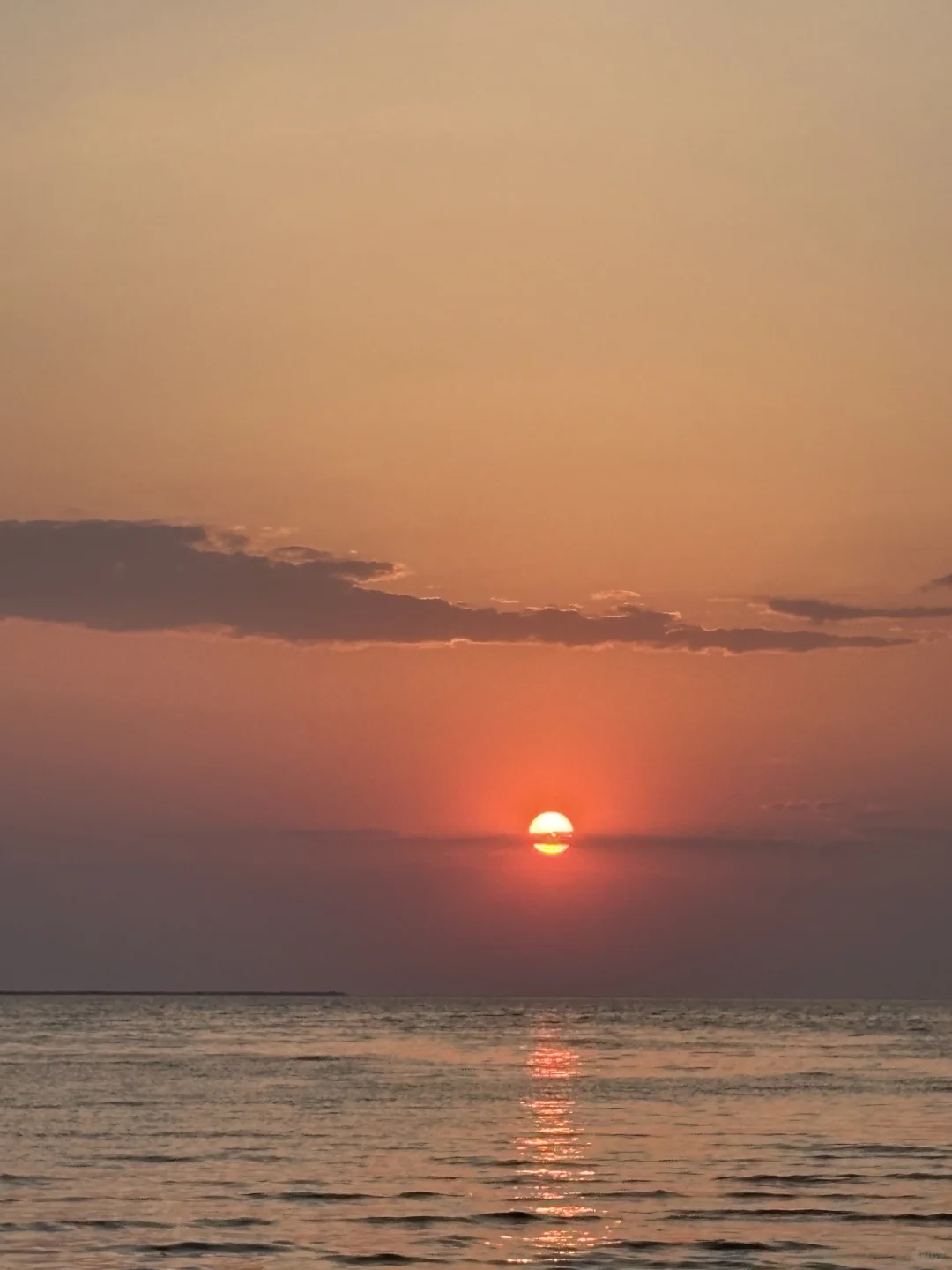 区转编、社招面试预约，今年10人