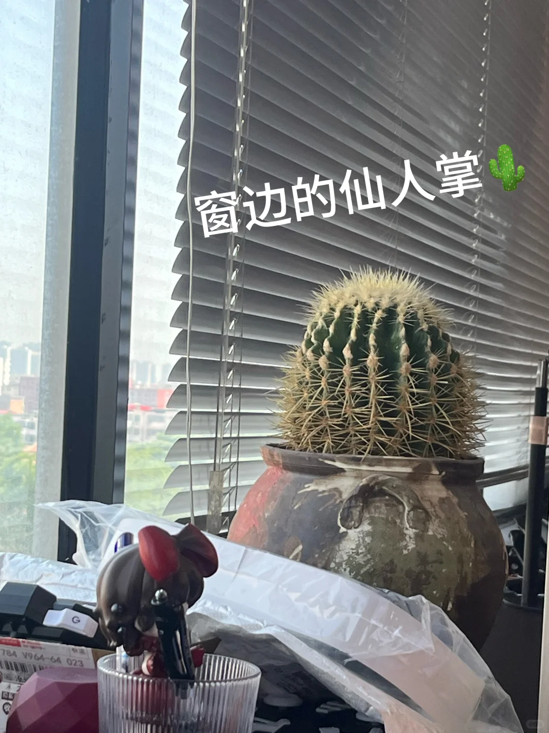 沧州传媒公司招人啦！