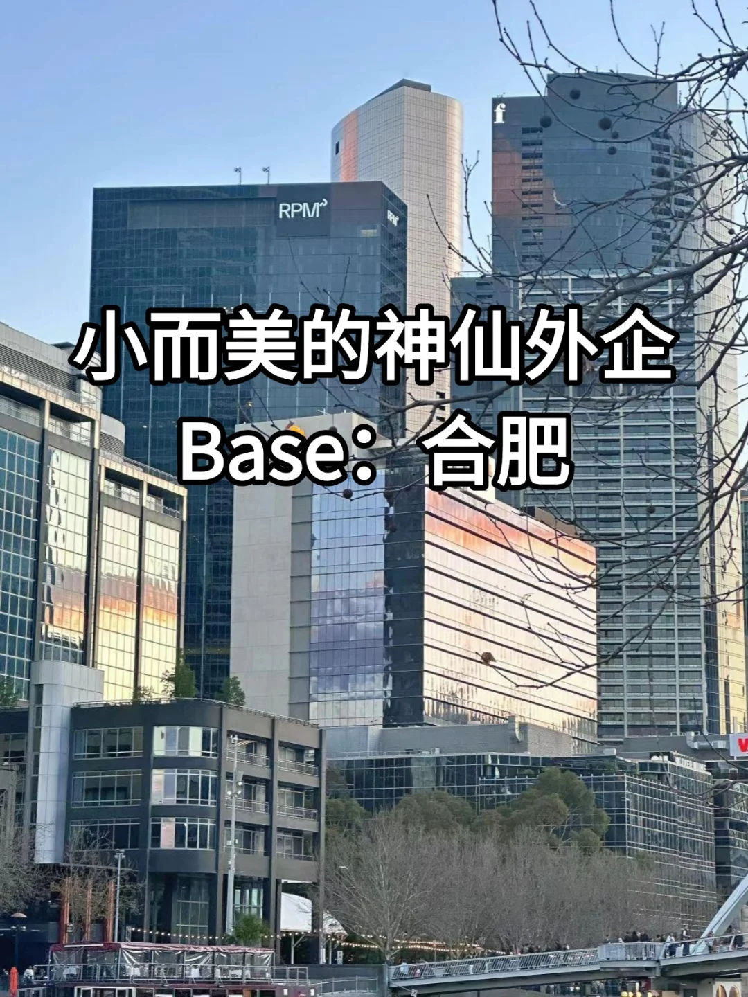 合肥的小而美外企