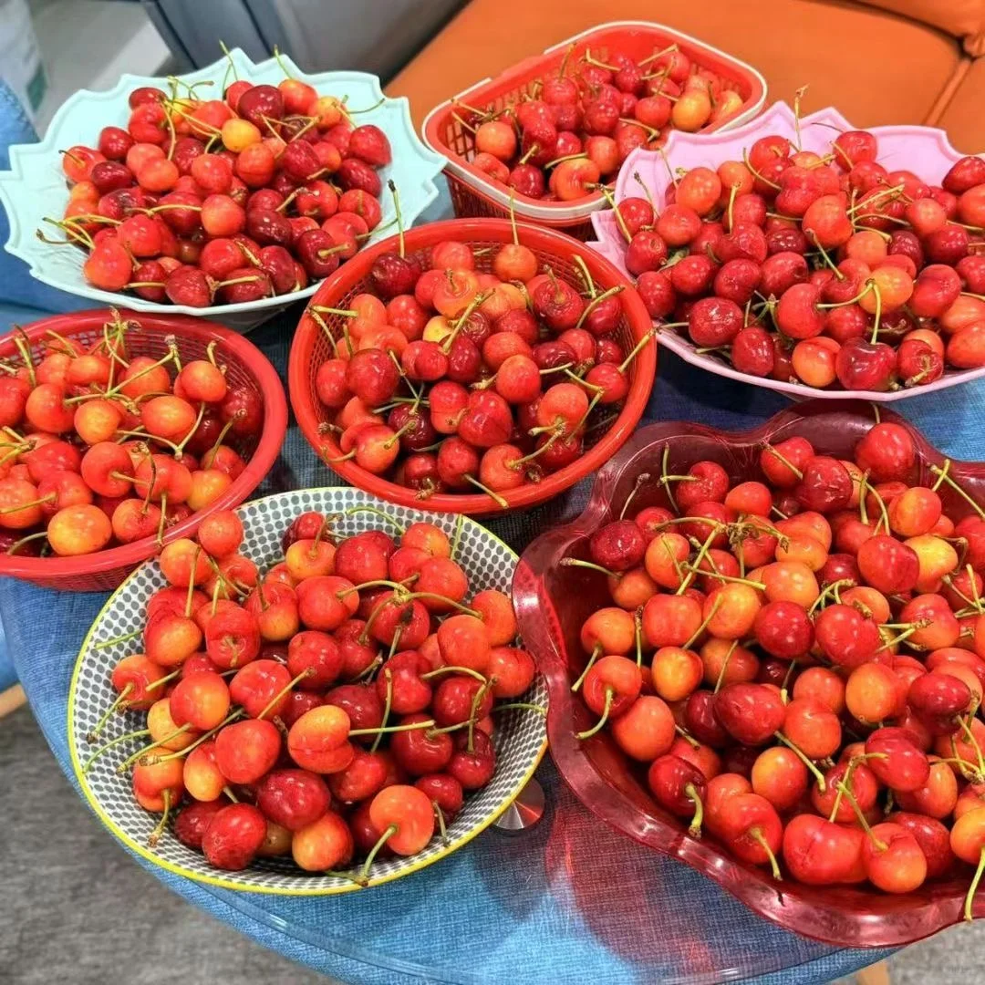 濮阳市神仙工作