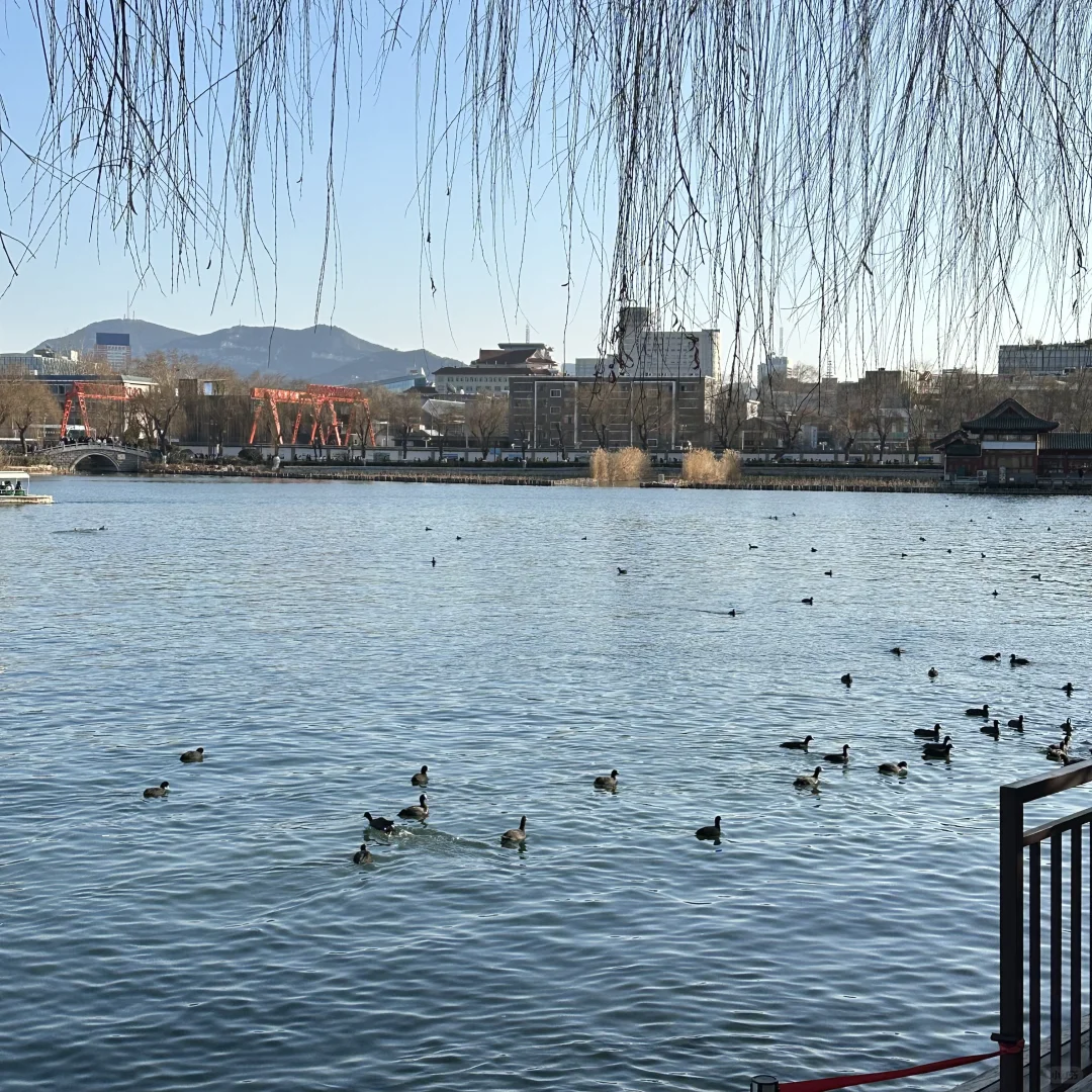 国企合同工的痛，谁懂啊！😭 这些坑千万别踩！