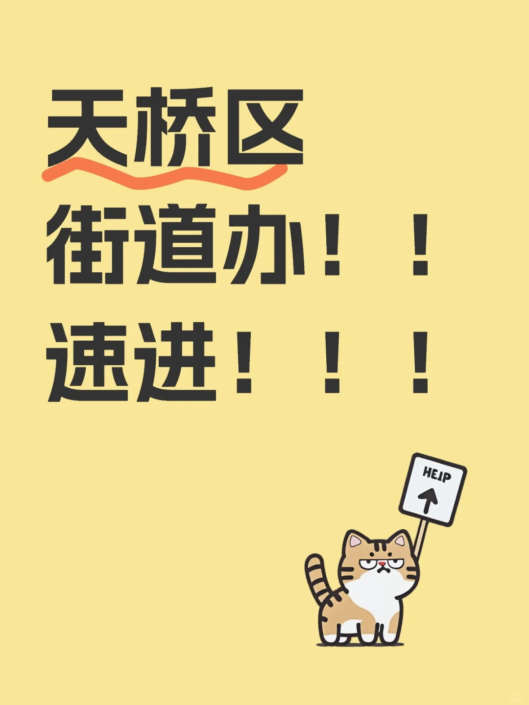 天桥区街道办招人啦