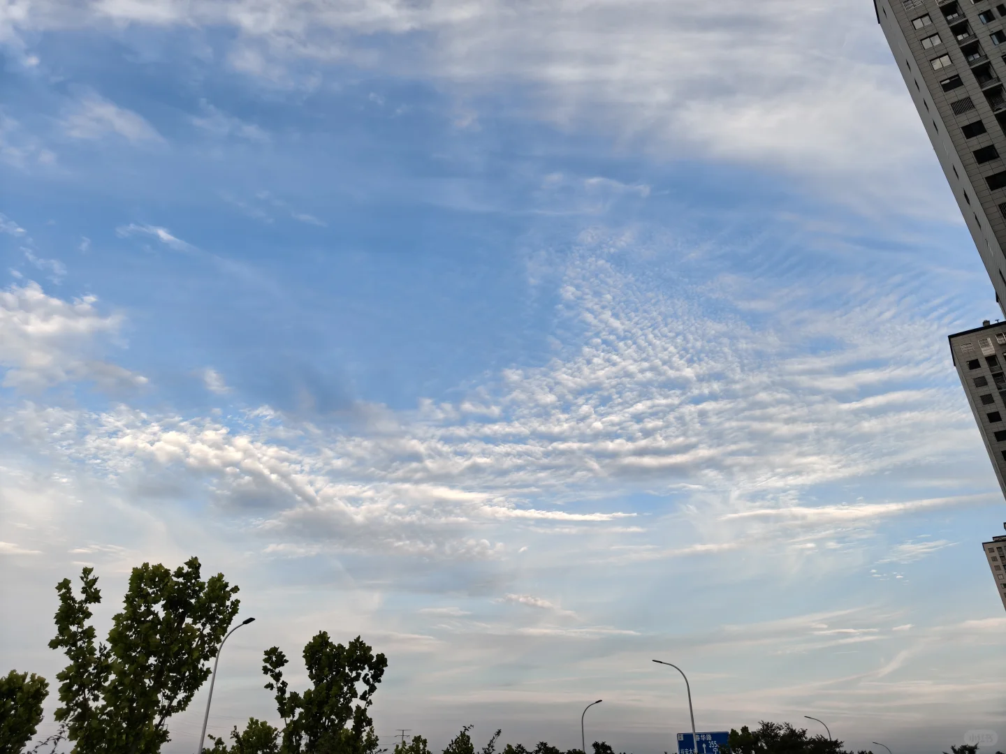 在red book找到了人生第一份正式工作