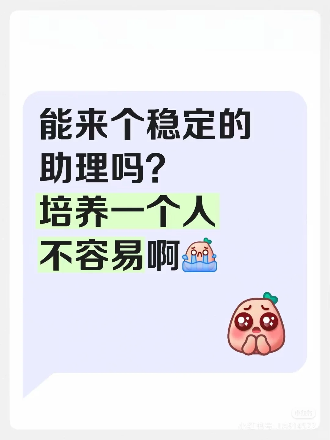 理工大学附近，招募总助！！