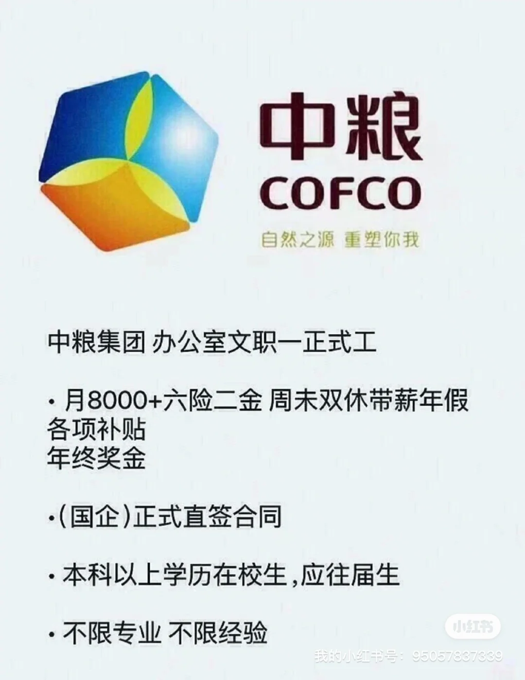 央国企中粮招聘开始了