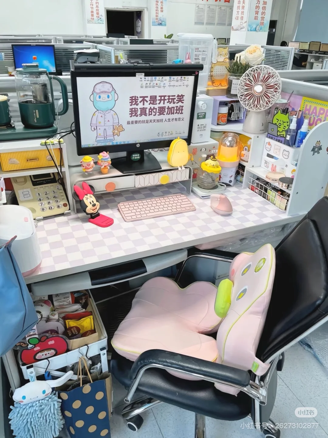 沧州开发区招聘招聘专员拉