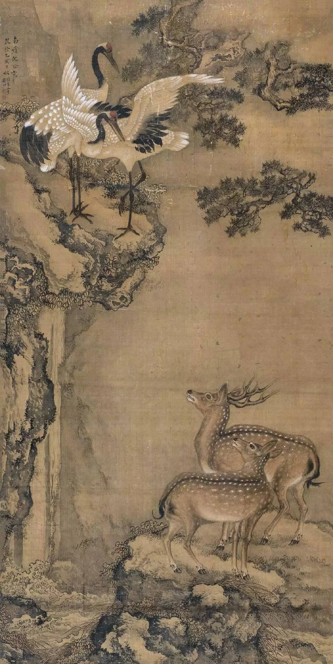 【清代画家沈铨的花鸟鱼虫动物画也很好看】