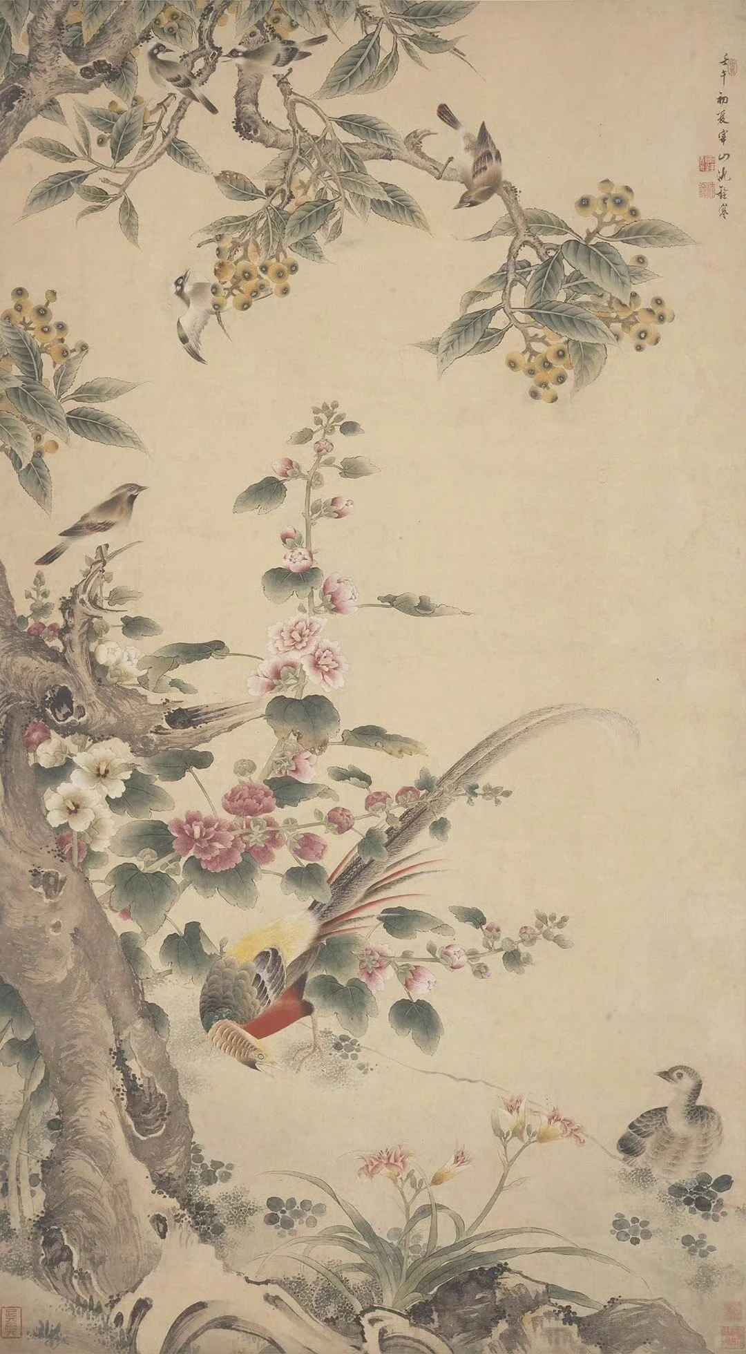 【清代画家沈铨的花鸟鱼虫动物画也很好看】