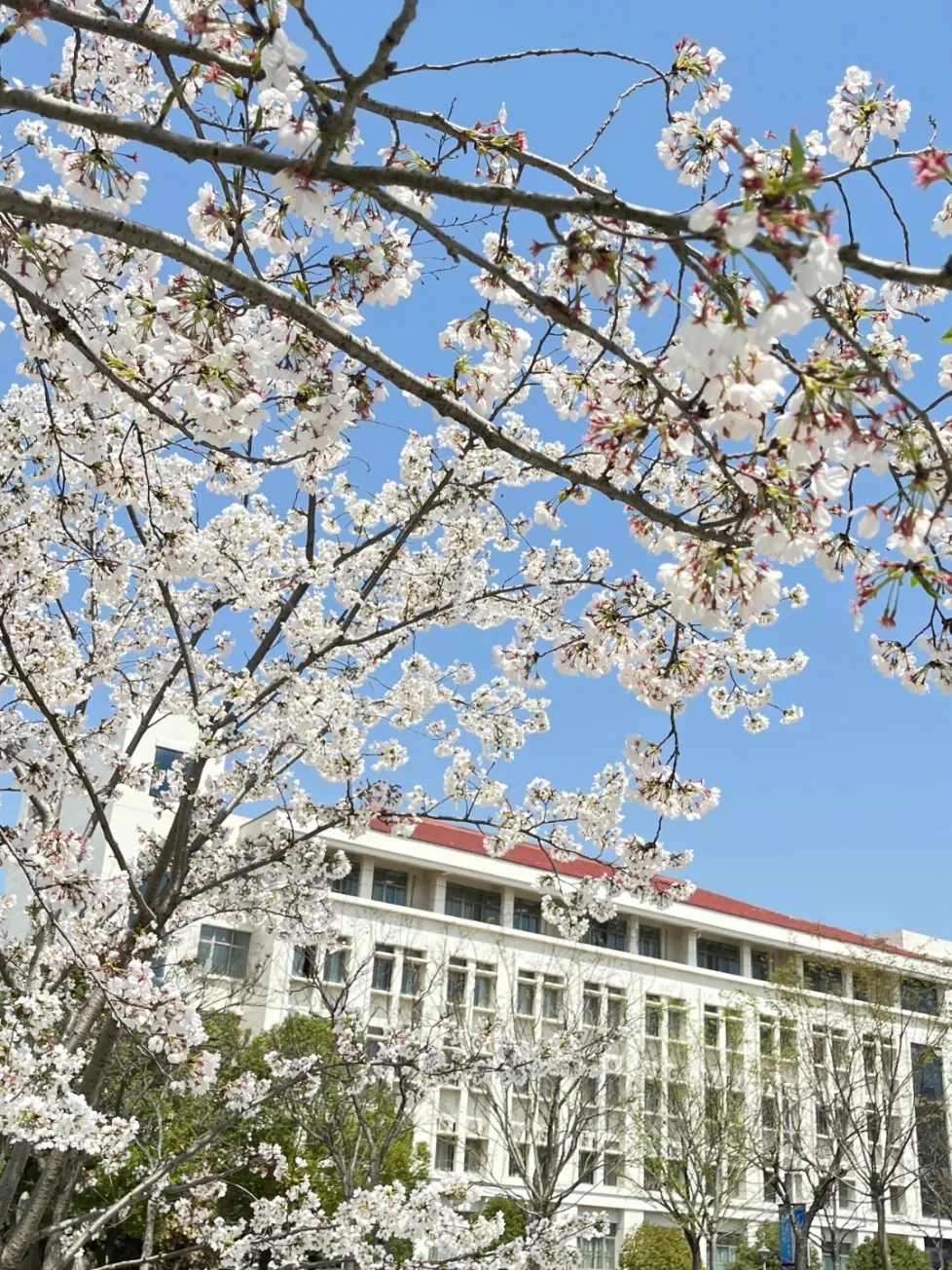 金陵科技学院欢迎大家的到来❗