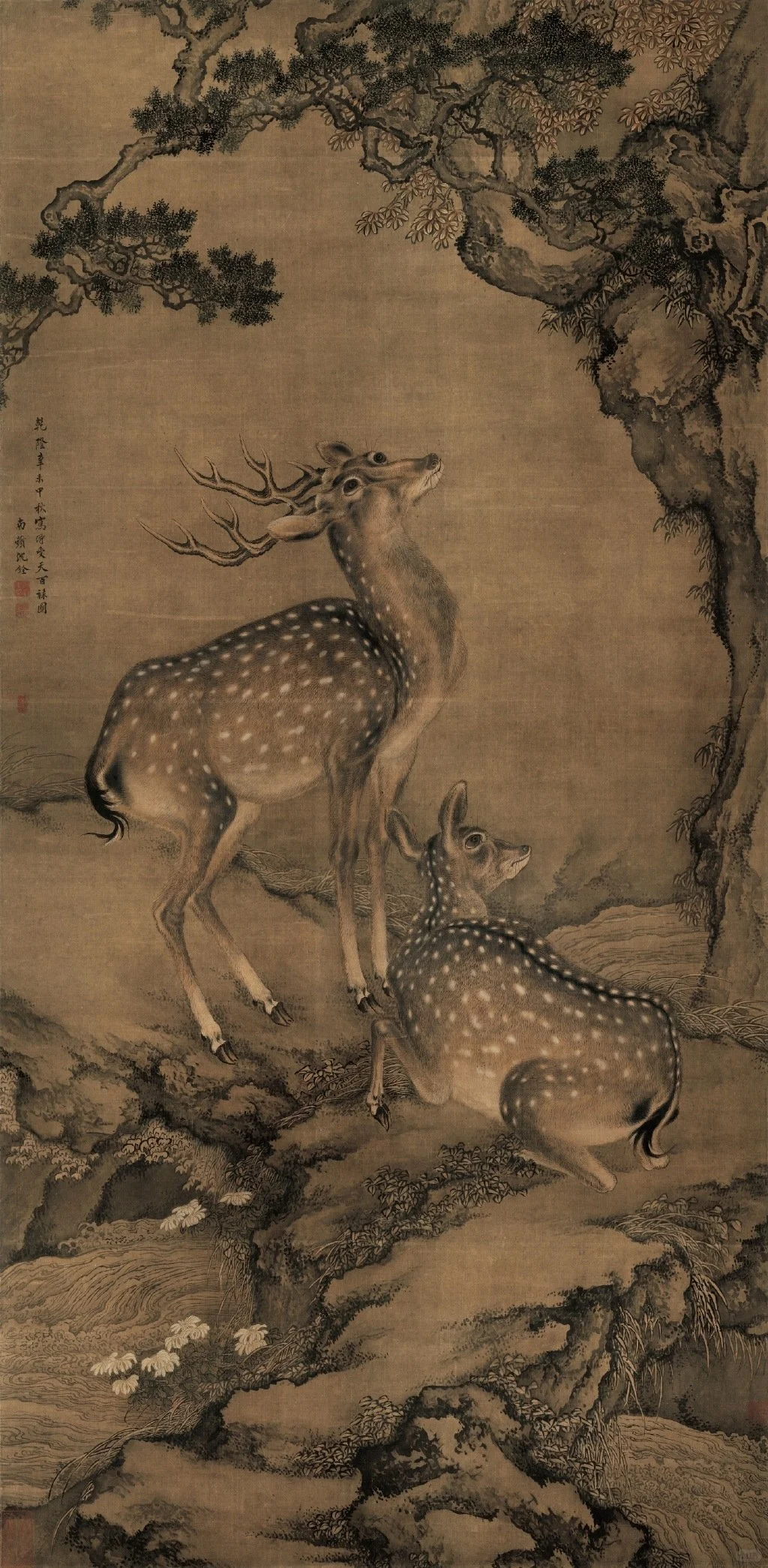 【清代画家沈铨的花鸟鱼虫动物画也很好看】