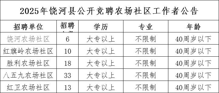 2025年饶河县公开招聘80人【大专/不限专业