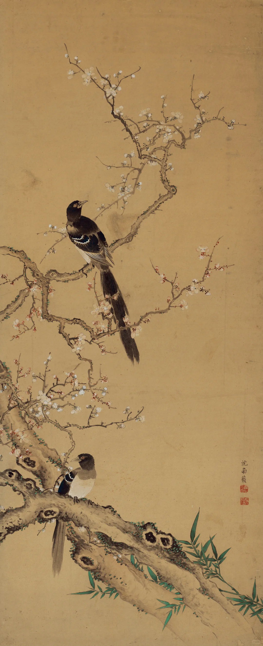 【清代画家沈铨的花鸟鱼虫动物画也很好看】