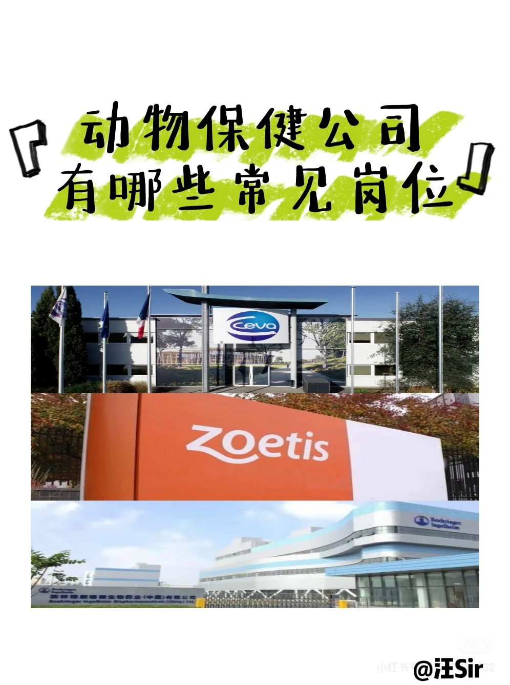 【动物保健公司岗位盘点】求职科普篇