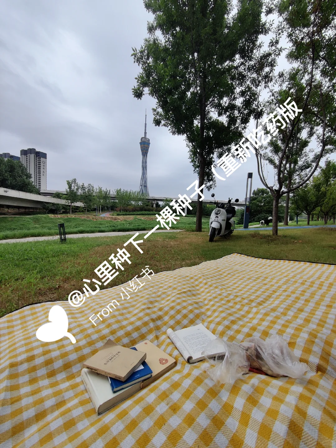 我的脑雾消失是怎么做到的?