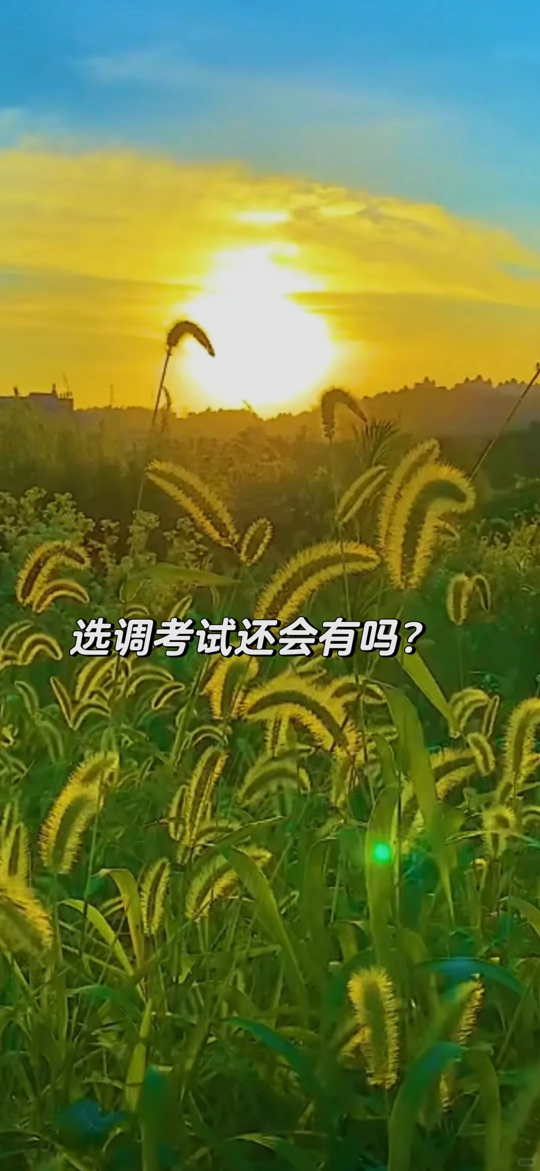 县管校聘后还会有进城选调考试吗？