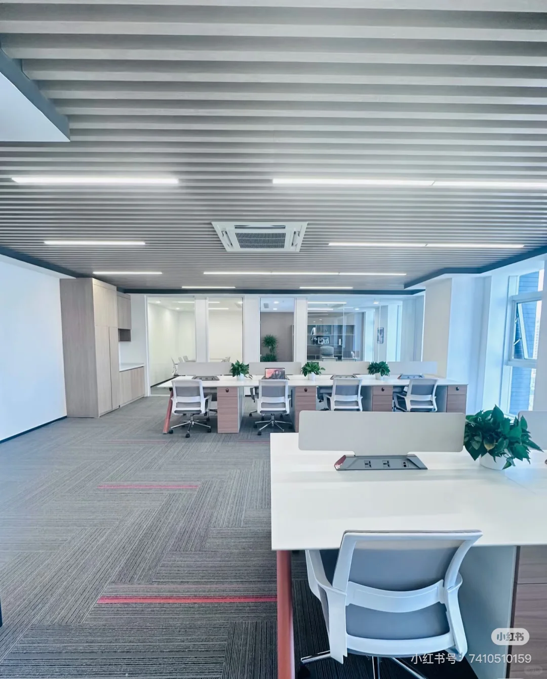 杭州招聘运营助理一名！