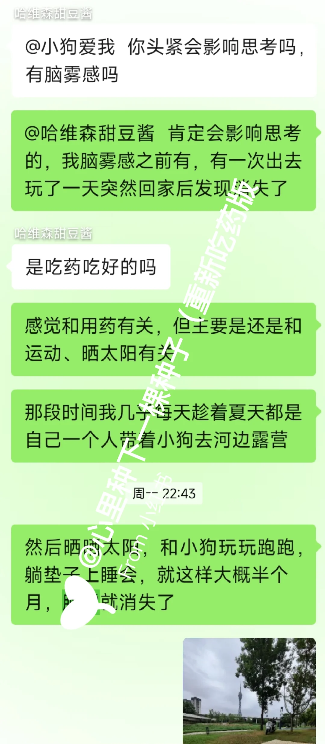 我的脑雾消失是怎么做到的?