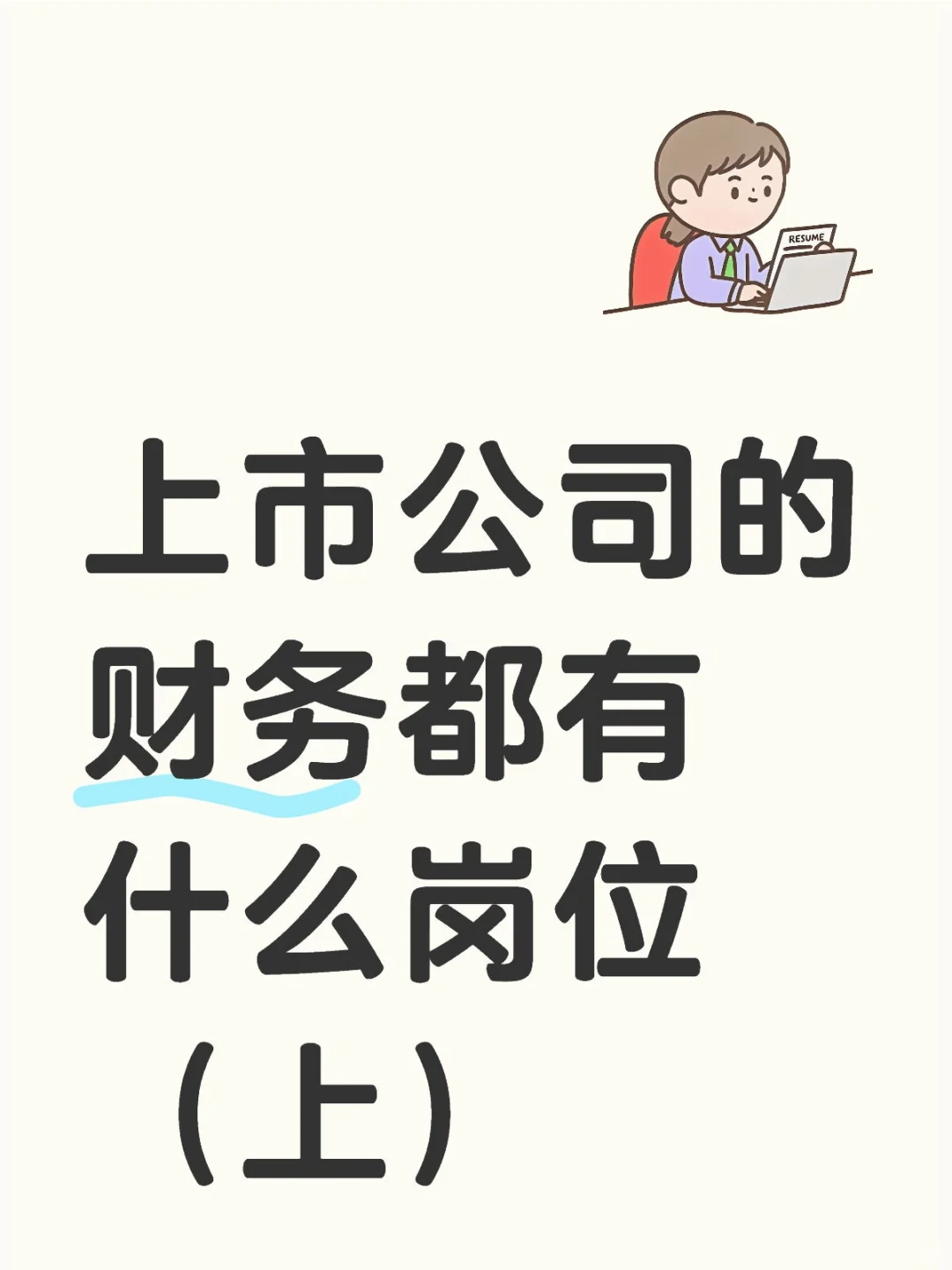 上市公司的财务都有什么岗位，分别做什么