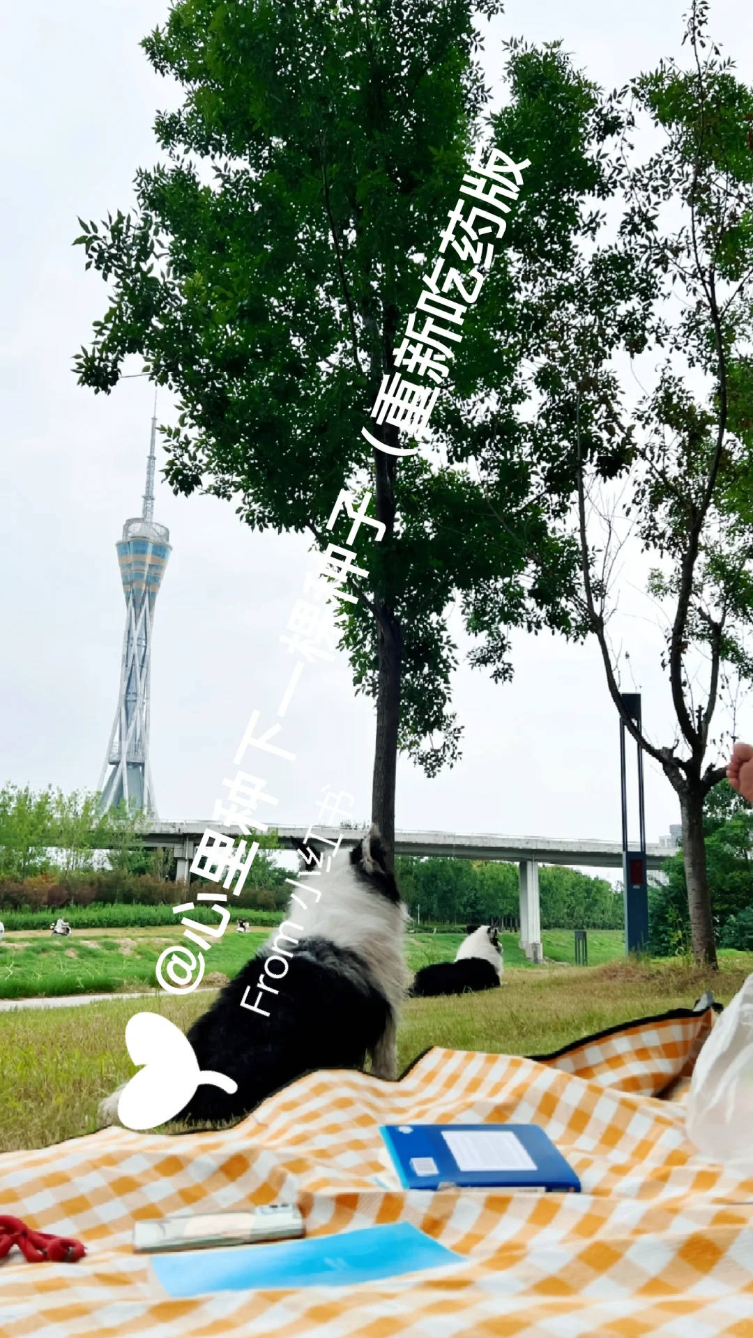 我的脑雾消失是怎么做到的?