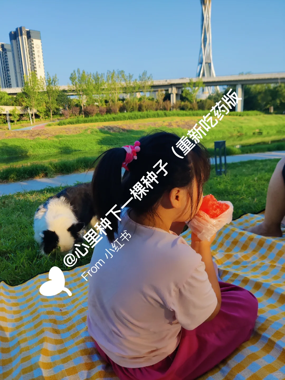 我的脑雾消失是怎么做到的?