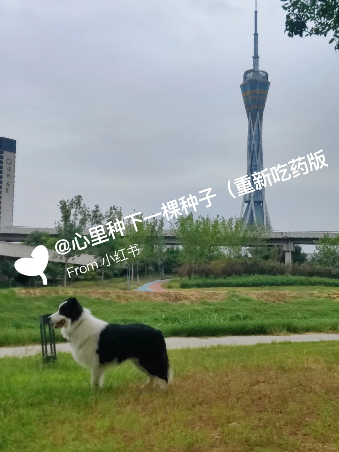 我的脑雾消失是怎么做到的?