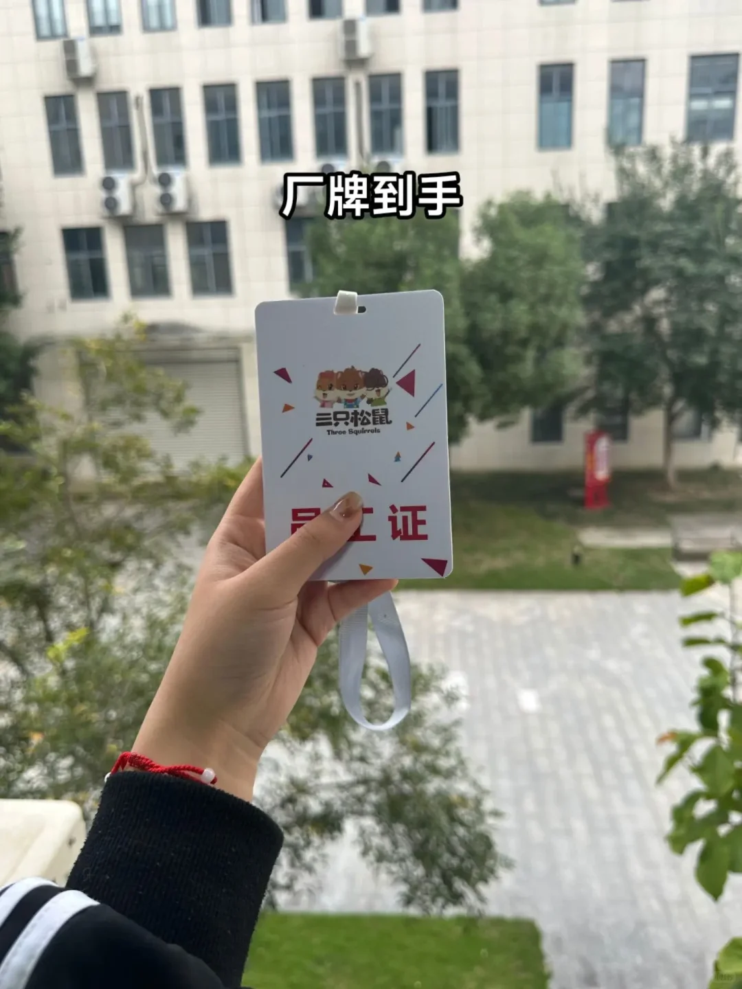 三只松鼠内推啦！！！