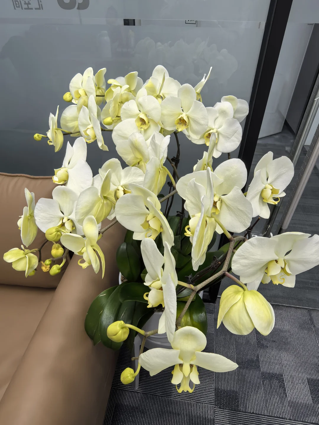 一不小心开了家公司，有找工作的吗！！