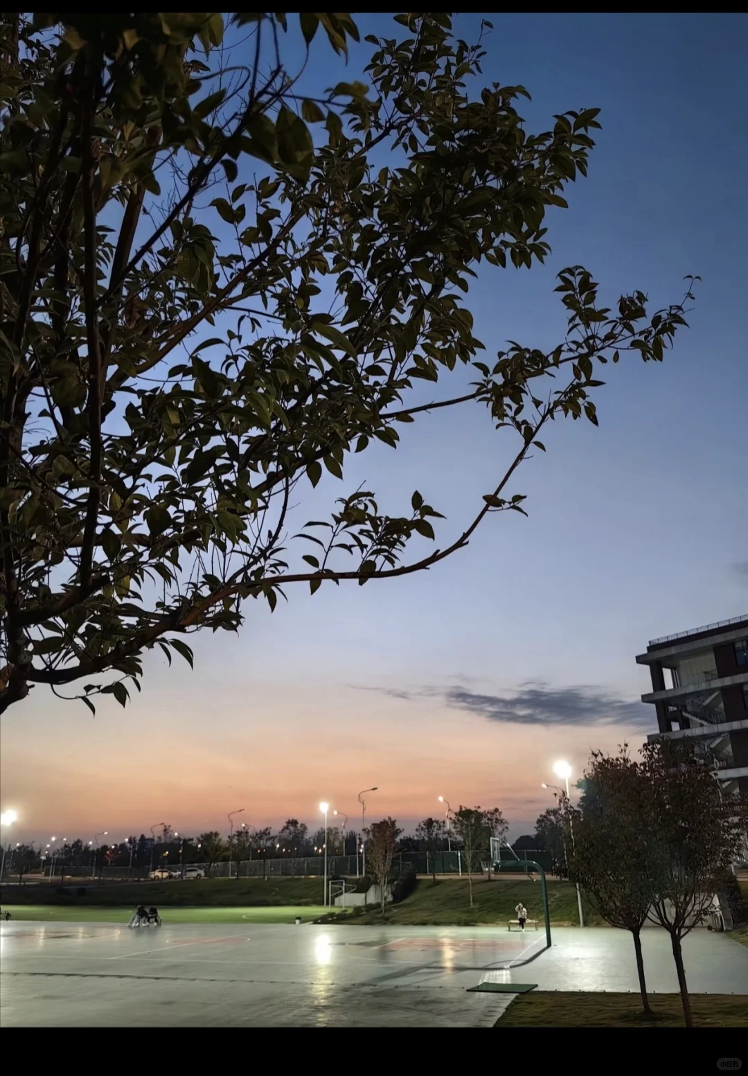 科成 什邡校区👀