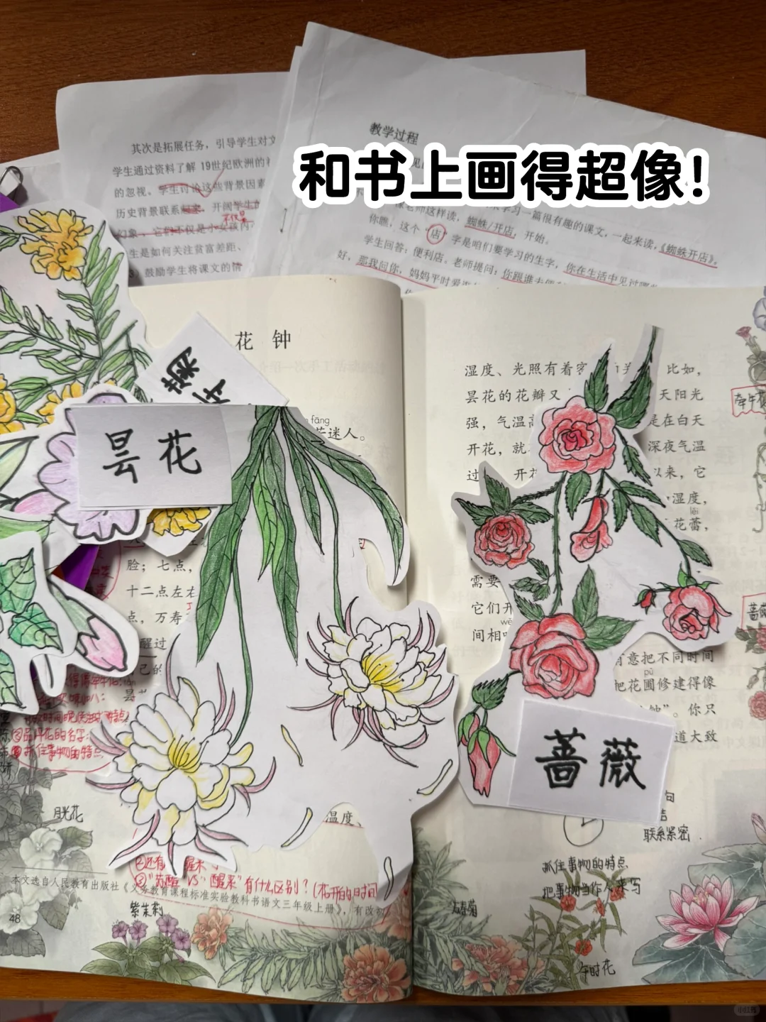 低能量教师｜如何两天备完公开课(含心态调整