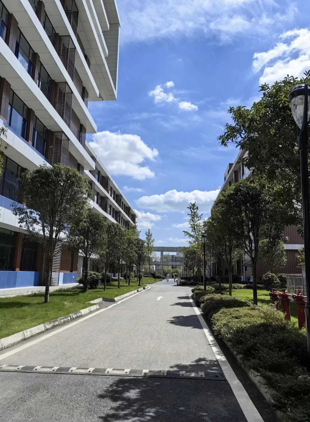 科成 什邡校区👀