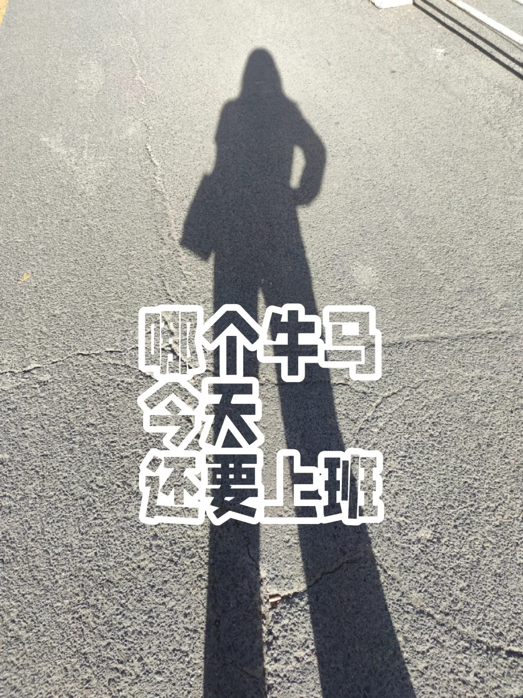 前面看到有省市推行四天半班制