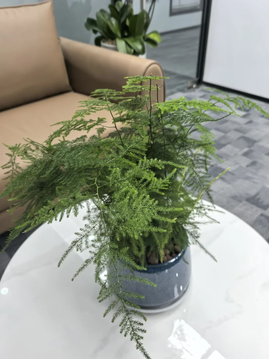 一不小心开了家公司，有找工作的吗！！